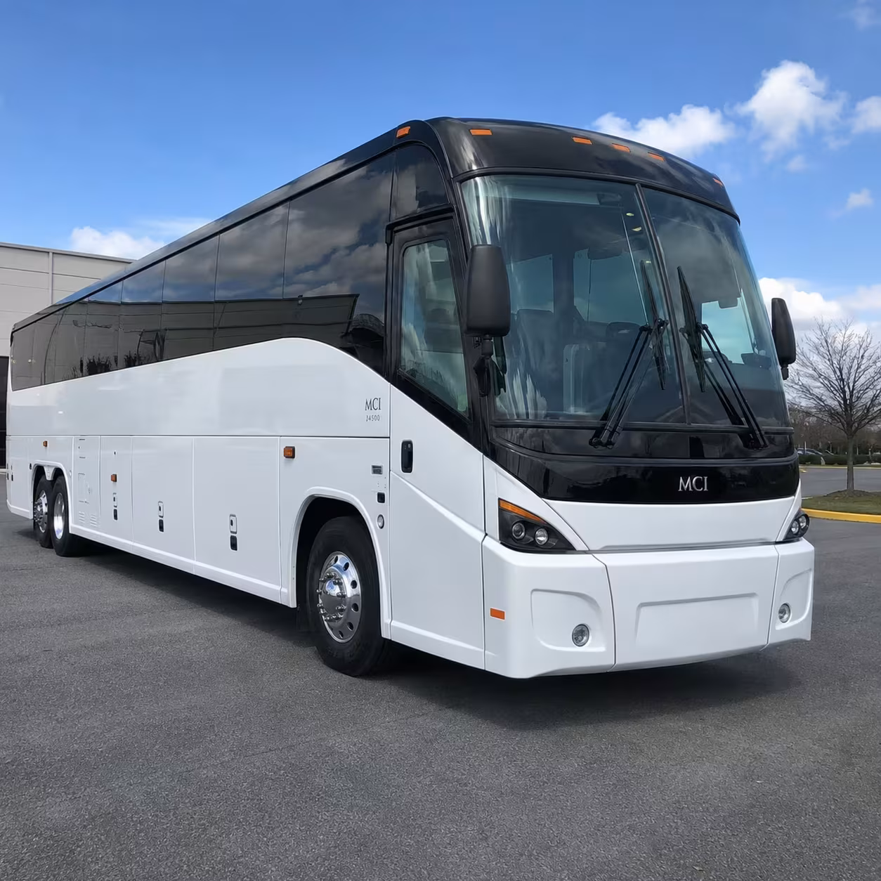 newton shuttle buses to boston logan international airport